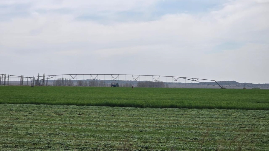 5 Bedroom Property for Sale in Edenburg Rural Free State